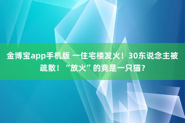 金博宝app手机版 一住宅楼发火！30东说念主被疏散！“放火”的竟是一只猫？