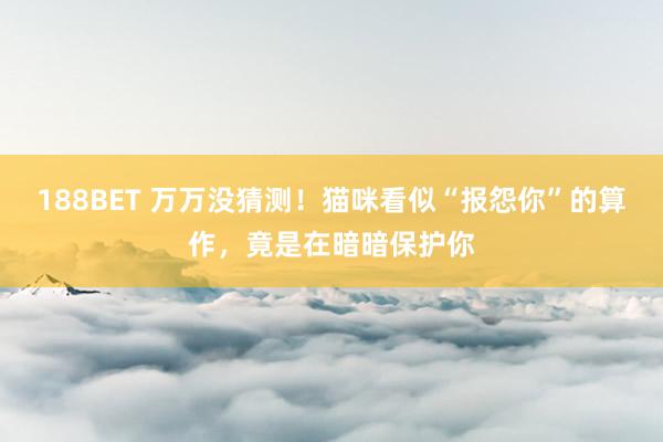 188BET 万万没猜测！猫咪看似“报怨你”的算作，竟是在暗暗保护你