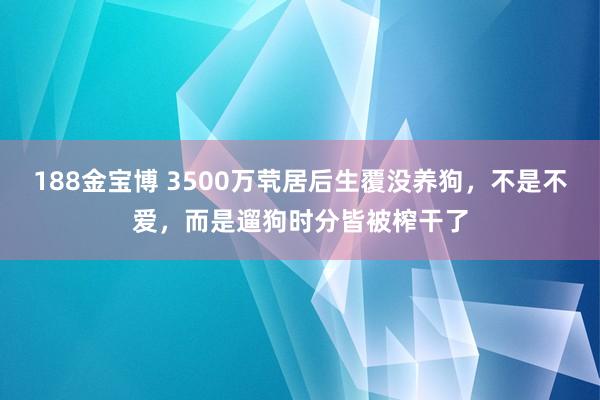 188金宝博 3500万茕居后生覆没养狗，不是不爱，而是遛狗时分皆被榨干了