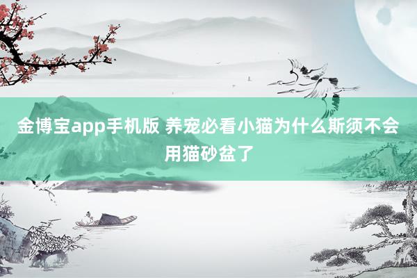 金博宝app手机版 养宠必看小猫为什么斯须不会用猫砂盆了