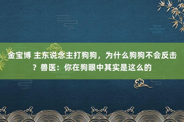 金宝博 主东说念主打狗狗，为什么狗狗不会反击？兽医：你在狗眼中其实是这么的