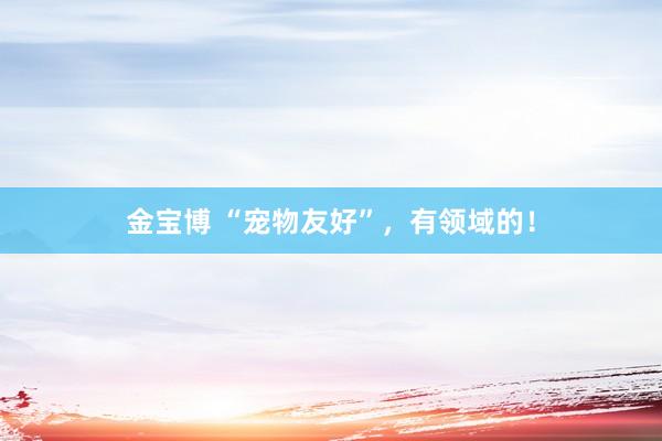 金宝博 “宠物友好”，有领域的！