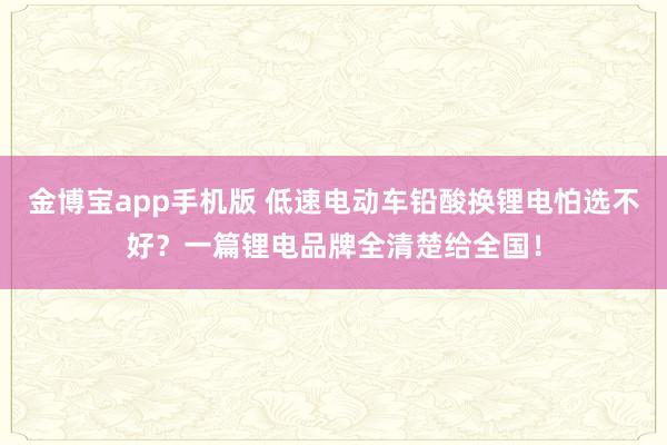 金博宝app手机版 低速电动车铅酸换锂电怕选不好？一篇锂电品牌全清楚给全国！