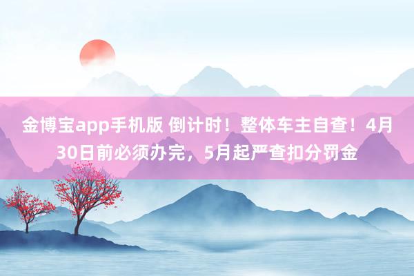 金博宝app手机版 倒计时！整体车主自查！4月30日前必须办完，5月起严查扣分罚金