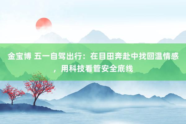 金宝博 五一自驾出行：在目田奔赴中找回温情感，用科技看管安全底线