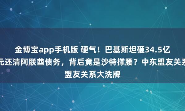 金博宝app手机版 硬气！巴基斯坦砸34.5亿好意思元还清阿联酋债务，背后竟是沙特撑腰？中东盟友关系大洗牌