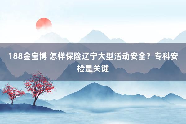 188金宝博 怎样保险辽宁大型活动安全？专科安检是关键